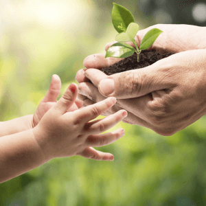 Planta semillas junto a tus hijos