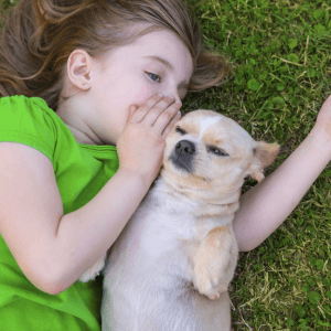 Mascotas: Cul es la mejor opcin para el primer mejor amigo de mi hijo?