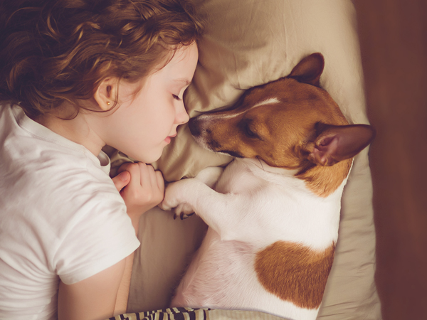 humedad raíz felicidad Diez razas de perro perfectas para niños • Mademsa - Todo lo que Quiero